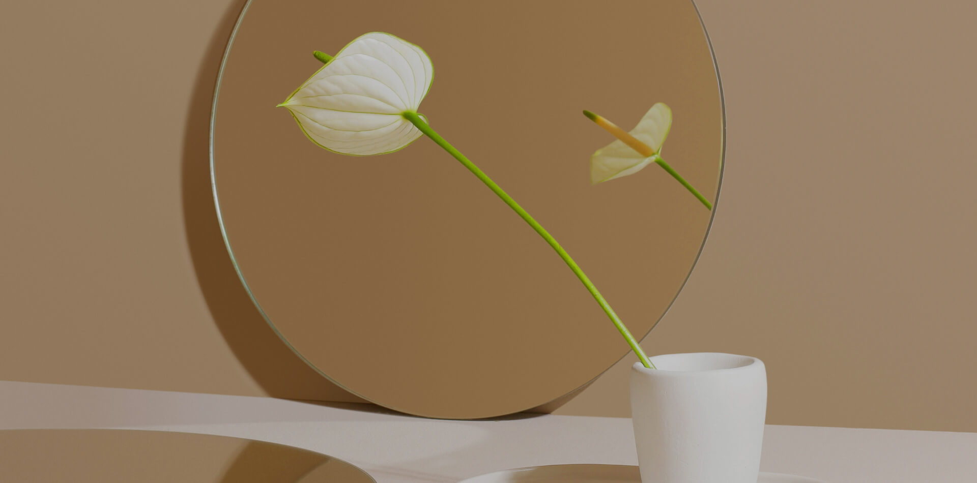 https://tolochkodesign.com/wp-content/uploads/2024/06/port-4-7.jpg